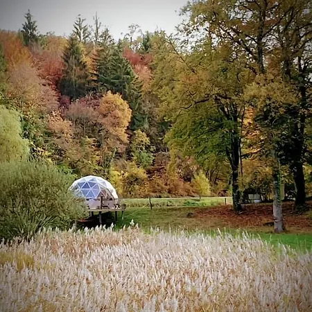 Logis Le Foxycamp
