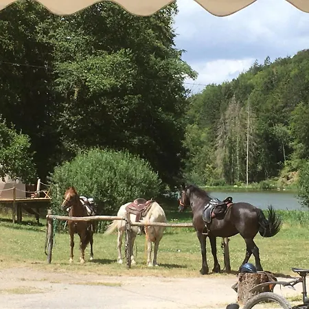 Logis Le Foxycamp Guest house