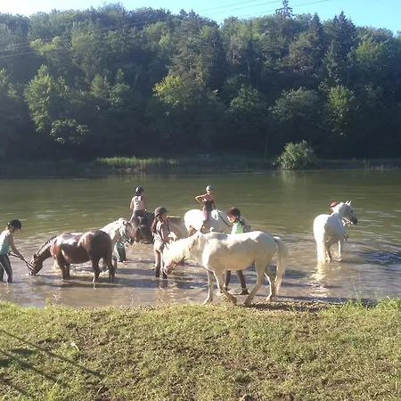 Gasthuis Logis Le Foxycamp Hannonville-sous-les-Côtes