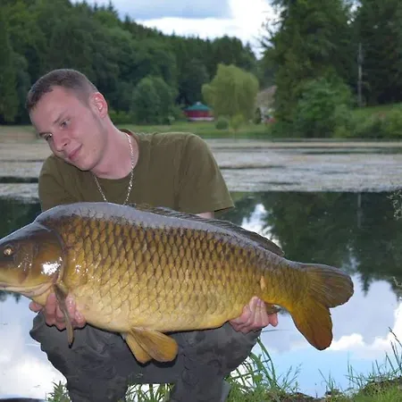 Logis Le Foxycamp Hannonville-sous-les-Cotes