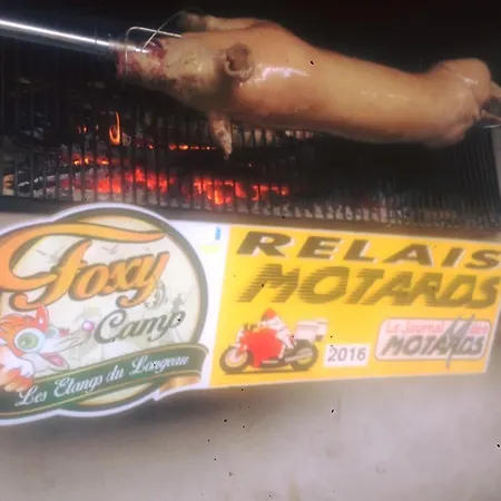 Guest house Logis Le Foxycamp 2*