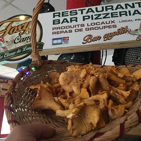 Logis Le Foxycamp Guest house 2*