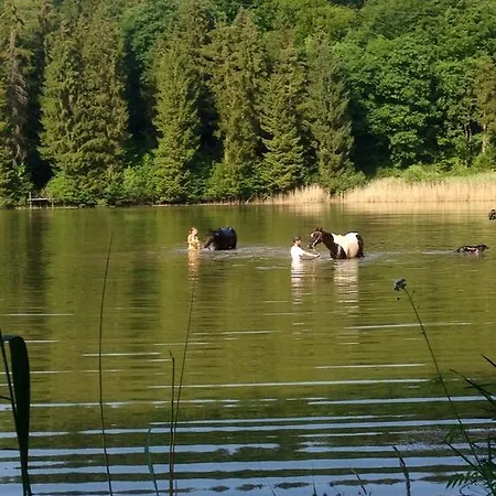 Gasthuis Logis Le Foxycamp