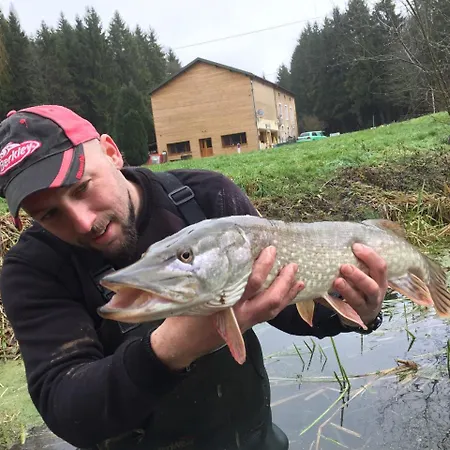 Logis Le Foxycamp 2*