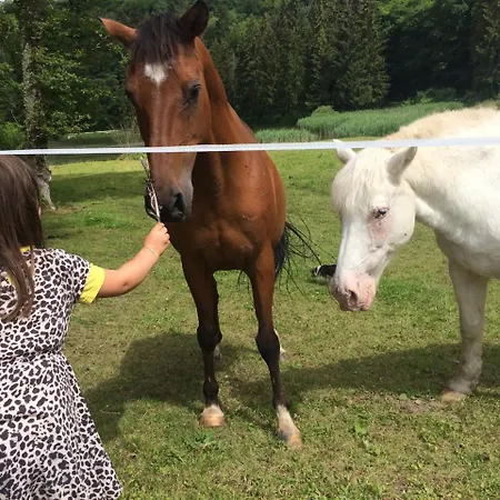 Logis Le Foxycamp 2* Hannonville-sous-les-Cotes