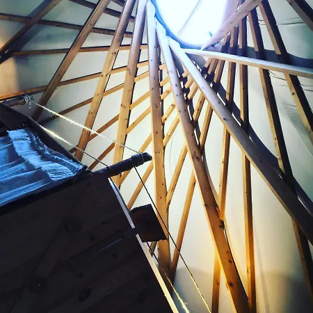 Guest house Logis Le Foxycamp