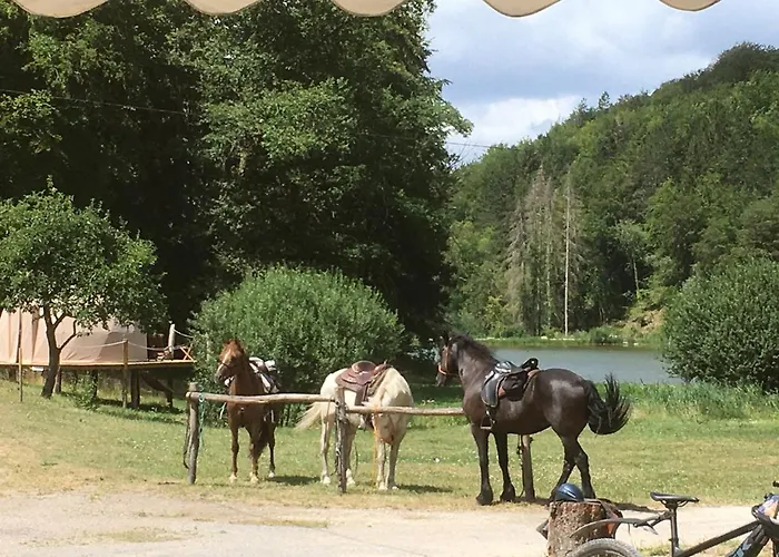 Logis Le Foxycamp Gasthof