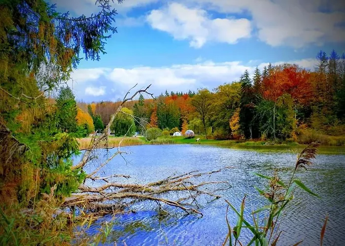 Gasthof Logis Le Foxycamp